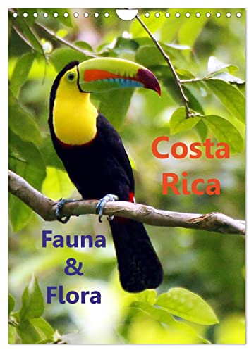 Costa Rica - Fauna & Flora (Wandkalender 2025 DIN A4 hoch), CALVENDO Monatskalender: Costa Rica - Ein Naturparadies der Erde mit atemberaubender Fauna & Flora. (CALVENDO Natur)