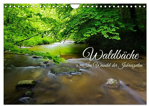 Waldbäche - Im Wandel der Jahreszeiten (Wandkalender 2026 DIN A4 quer), CALVENDO Monatskalender: Versteckte Schönheiten unserer Wälder (CALVENDO Natur)