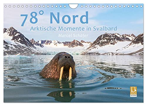 78° Nord - Arktische Momente in Svalbard (Wandkalender 2026 DIN A4 quer), CALVENDO Monatskalender: Unvergessliche Naturerlebnisse auf Svalbard (CALVENDO Natur)