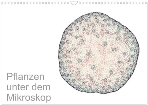 Pflanzen unter dem Mikroskop (Wandkalender 2026 DIN A3 quer), CALVENDO Monatskalender: Eindrucksvolle biologische Aufnahmen - das perfekte Geschenk ... Stundent und Lehrer (CALVENDO Wissenschaft)