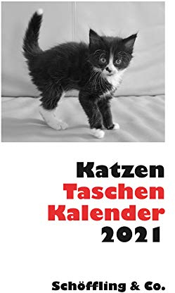 Katzen Taschenkalender 2021