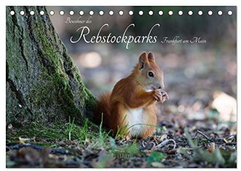 Bewohner des Rebstockparks Frankfurt am Main (Tischkalender 2026 DIN A5 quer), CALVENDO Monatskalender: Große und kleine Tiere im Rebstockpark in Frankfurt am Main (CALVENDO Tiere)