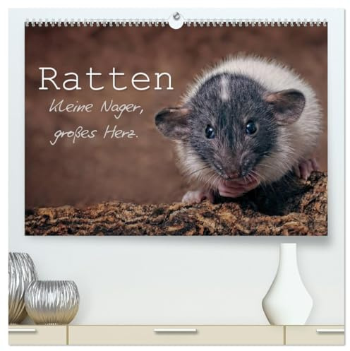Ratten. Kleine Nager, großes Herz. (hochwertiger Premium Wandkalender 2026 DIN A2 quer), Kunstdruck in Hochglanz: Beeindruckende Aufnahmen der ... Sie durch das ganze Jahr. (CALVENDO Tiere)