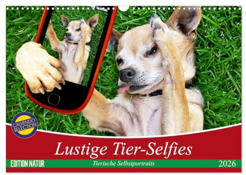 Lustige Tier-Selfies. Tierische Selbstportraits (Wandkalender 2026 DIN A3 quer), CALVENDO Monatskalender: Witzige Selbstportraits aus der Tierwelt (CALVENDO Tiere)