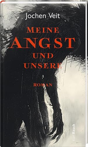 Meine Angst und unsere: Roman