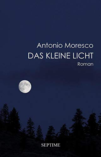 Das kleine Licht: Roman