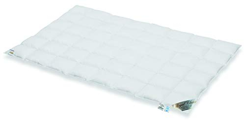 Schäfer Typ Eiderdaune Royal Classic Ganzjahres Daunendecke Daune Klasse 1 feines weiches Inlett (155x220 cm)