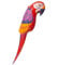 NET TOYS Aufblasbarer Papagei Sommer Deko Vogel Ara aufblasbar Tierdeko Pirat Mottoparty Fasching Karneval