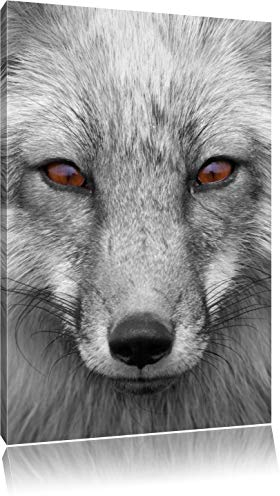 Pixxprint wunderschöner Fuchs im Portrait B&W, Größe: 60x40cm, Leinwandbild, fertig gespannt, Wandbild, Dekoration, Kunstdruck, kein Poster