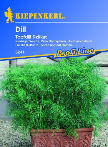 Sperli Gemüsesamen Dill (Topf) Delikat, grün