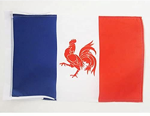 AZ FLAG Drapeau Mouvement Wallonie française 45x30 cm Cordelettes | Usage intérieur et extérieur Drapeau décoratif wallon français coutures doubles et bords renforcés polyester 100D