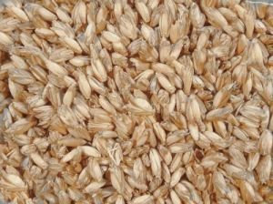Kg de Producto de cáscara de espelta, de espelta, de escanda de a partir de 1.99 euros/kg - 1 kg