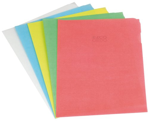 Elco 29490.00 Ordo Organisationsmappe, 220 x 310 mm, 80 gf, transparent