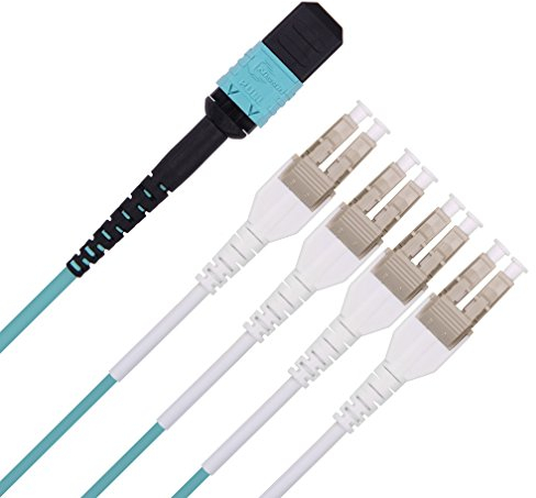 10Gtek Fiber Optic Cable Patch Cord - MPO to 8X LC Fanout Fiber Jumper Patch Cord, OM4 Multimode 8-core Fiber, Application for QSFP+Transceiver, 3m(10ft), Breakout 0.5m