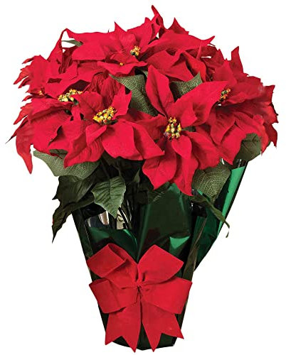 22 Potted Red Poinsettia Plant with 10 Flowers and Decorative Bow