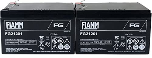 Fiamm Ersatzakku für APC RBC6, 12V, Lead-Acid