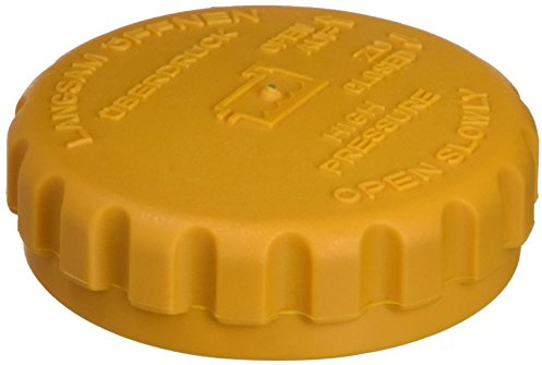 Metzger 2140039 Cap, radiator