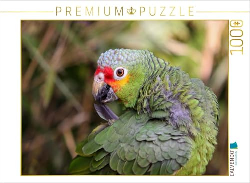 CALVENDO Puzzle Gelbwangenamazone | 1000 Teile Lege-Größe 64 x 48 cm Foto-Puzzle für glückliche Stunden