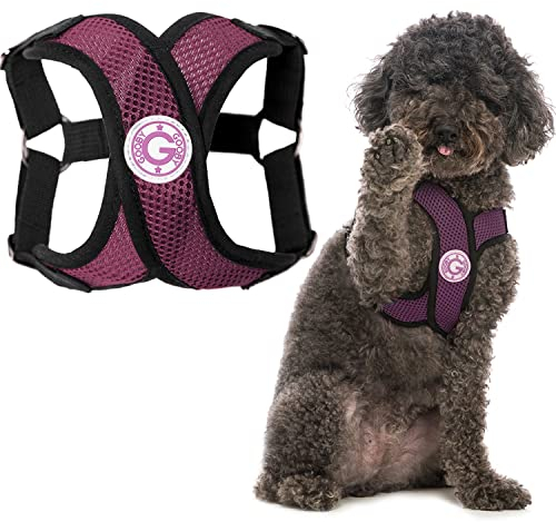 Gooby Choke Free Comfort X Step-In Hundegeschirr, Größe XL, Violett