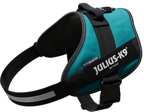 IDC Powerharness, Size: 3XL/4, Petrol Green