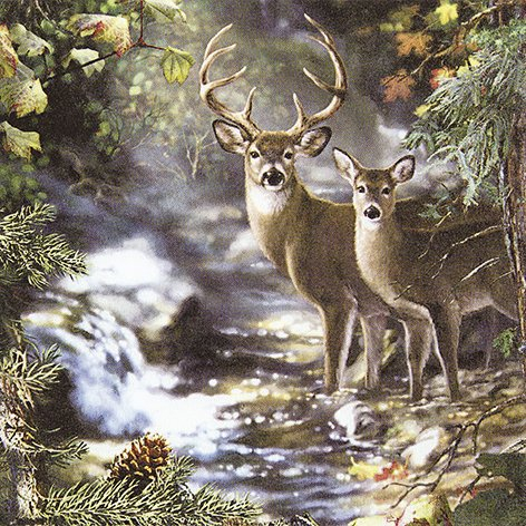 20 Servietten Deers on a Creek - Hirsche am Bach 33x33cm