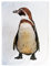 Half a Donkey The Magellanic Penguin Geschirrtuch aus Baumwolle