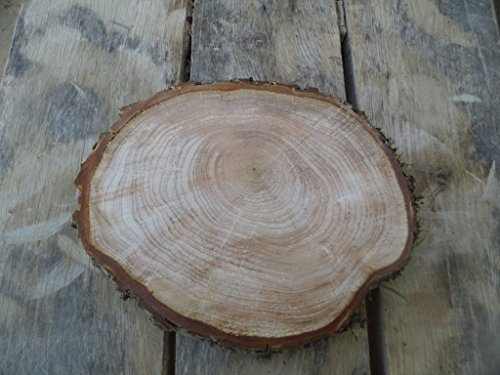 KJR Holzmanufaktur Baumscheibe, Holzscheibe,ca. 30x3 cm, basteln, Holz,Erle