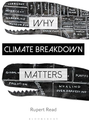 Why Climate Breakdown Matters (Why Philosophy Matters)