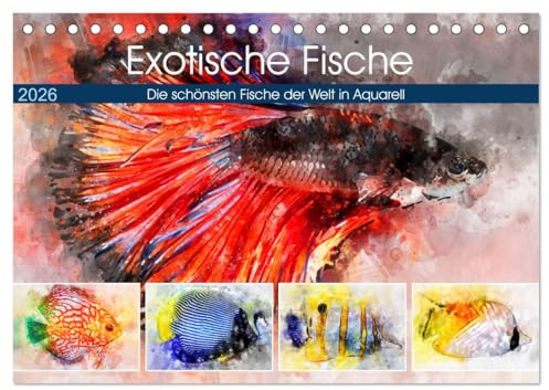 Exotische Fische - Die schönsten Fische der Welt in Aquarell (Tischkalender 2026 DIN A5 quer), CALVENDO Monatskalender: Farbenprächtige Fische im Süß- und Salzwasser (CALVENDO Tiere)