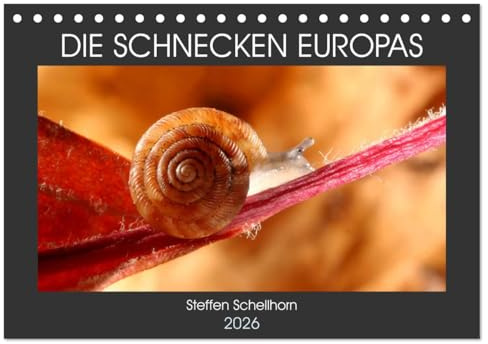DIE SCHNECKEN EUROPAS (Tischkalender 2026 DIN A5 quer), CALVENDO Monatskalender: Der Vielfältigkeit der Schnecken in Europa auf der Spur (CALVENDO Tiere)