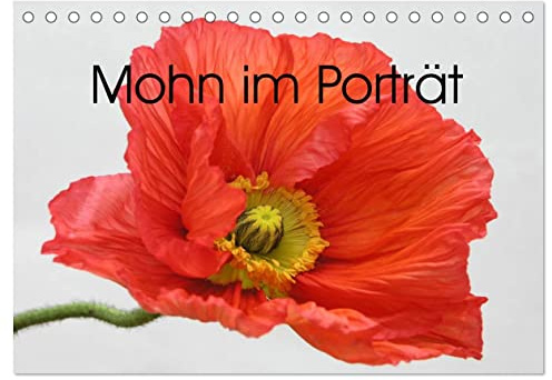 Mohn im Porträt (Tischkalender 2026 DIN A5 quer), CALVENDO Monatskalender: 1 Jahr lang Mohnblüten-Genuss (CALVENDO Natur)