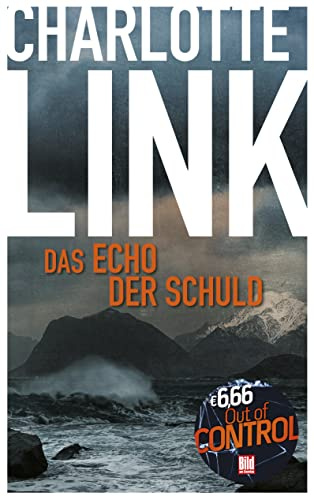 Das Echo der Schuld (BILD am Sonntag Mega-Thriller 2022: Out of Control)
