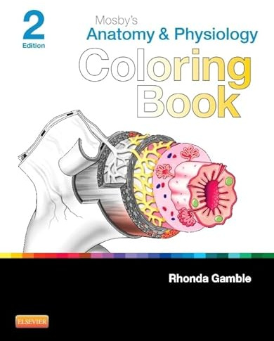 Mosby's Anatomy and Physiology Coloring Book