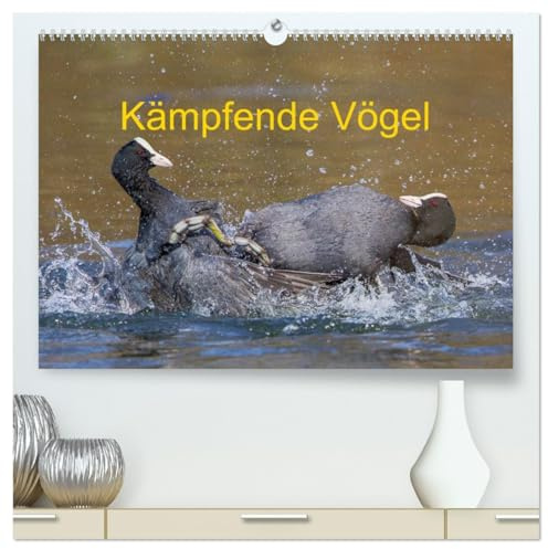 Kämpfende Vögel (hochwertiger Premium Wandkalender 2026 DIN A2 quer), Kunstdruck in Hochglanz: Actionreiche Aufnahmen von kämpfenden Vögeln (CALVENDO Tiere)