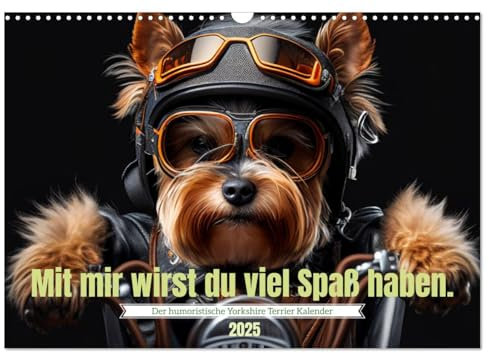 Der humoristische Yorkshire Terrier Kalender (Wandkalender 2025 DIN A3 quer), CALVENDO Monatskalender: Das ideale Geschenk für Yorkshire Terrier ... glücklich zu machen. (CALVENDO Tiere)