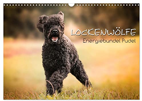 Lockenwölfe - Energiebündel Pudel (Wandkalender 2026 DIN A3 quer), CALVENDO Monatskalender: Der Pudel mal anders - die Lockenwölfe begleiten Sie durch das Jahr (CALVENDO Tiere)