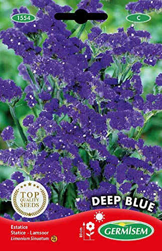 Germisem Deep Blue Semillas de Statice 0.5 g, EC1554