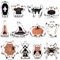 Auauraintt Stampo per Biscotti In Acciaio Inossidabile di Halloween,12 Pezzi Formine per Biscotti da, Set di Strumenti da Forno Fai-Da-Te, Zucca, Cappello da Strega, Fantasma, Biscotti di Halloween