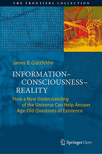 Information―Consciousness―Reality: How a New Understanding of the Universe Can Help Answer Age-Old Questions of Existence (The Frontiers Collection)