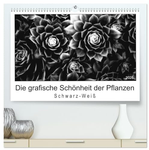 Die grafische Schönheit der Pflanzen – Schwarz-Weiß (hochwertiger Premium Wandkalender 2025 DIN A2 quer), Kunstdruck in Hochglanz: 13 eindrucksvolle Naturaufnahmen in Schwarzweiß (CALVENDO Orte)