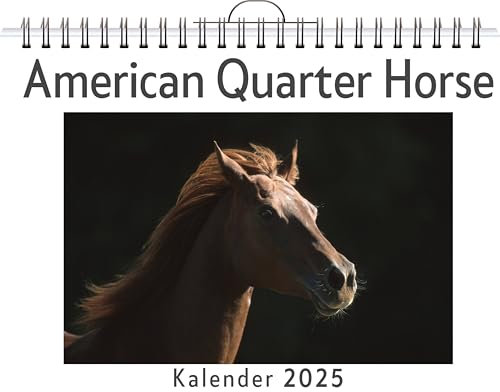 American Quarter Horse - (Wandkalender 2025, Kalender DIN A4 quer, Monatskalender im Querformat mit Kalendarium, das perfekte Geschenk)