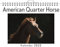 American Quarter Horse - (Wandkalender 2025, Kalender DIN A4 quer, Monatskalender im Querformat mit Kalendarium, das perfekte Geschenk)