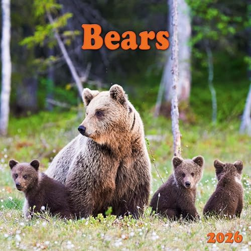 Bears 2026: Kalender 2026 (Wonderful World)