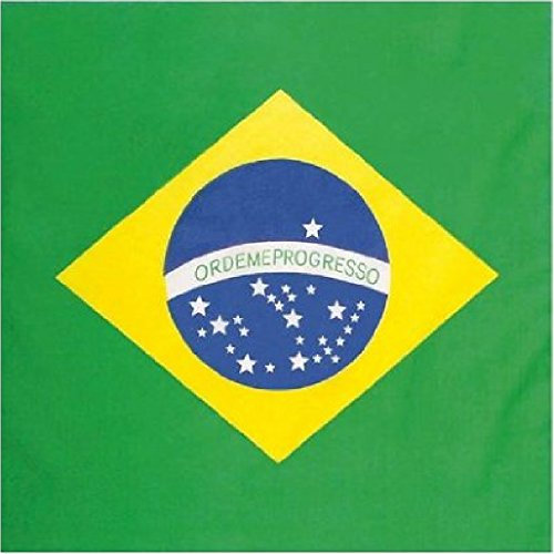 World of Wool Brazil Brazilian Flag Scarf Bandana