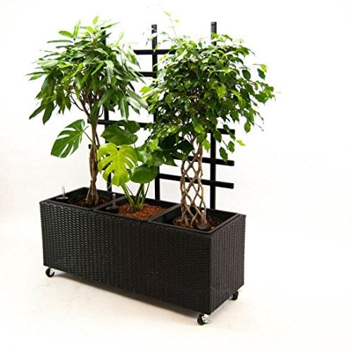 Elegant Einrichten Pflanzkübel als Trog mit Rankgitter 130x46x165cm schwarz.