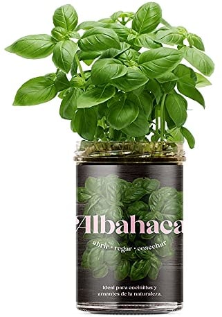 Resetea | Huerto de cocina | Albahaca