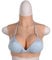 MOTLEYBEAN Silikonbrüste Fake Boobs B-G Cup Silikonbrustplatte Falsche Brustbrustplatte für Crossdresser Transgender Cosplay (Elfenbein, E-Körbchen-Baumwoll füllung)