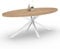 IDMarket - Esstisch, oval, Alix, 10 Personen, Spinnenfuß, Holz und Weiß, 200 cm
