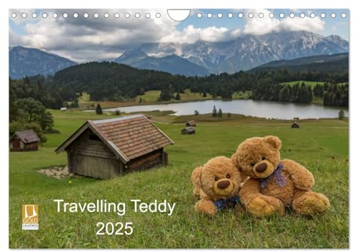 Travelling Teddy 2025 (Wandkalender 2025 DIN A4 quer), CALVENDO Monatskalender: Tolle Bilder meines Teddy auf unseren internationalen Reisen (CALVENDO Spass)