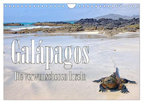 Galápagos - Die verwunschenen Inseln (Wandkalender 2026 DIN A4 quer), CALVENDO Monatskalender: FineArt-Motive von Tieren und Landschaft der Galapagos-Inseln (CALVENDO Orte)